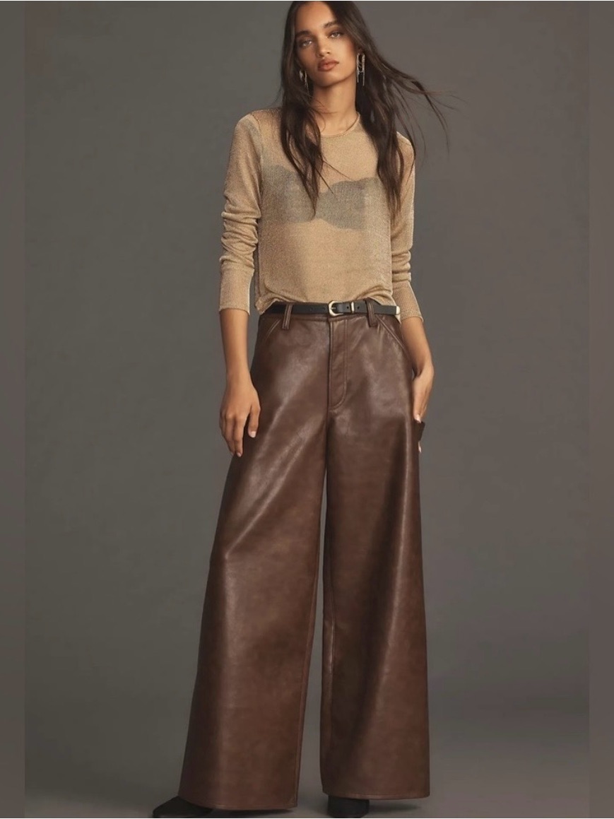 Agolde Dale Brown Leather Wide Leg Carpenter